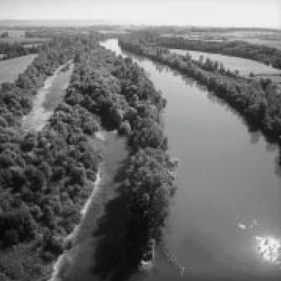 Photographie des îles de Miribel situées à l'amont du Rhône
